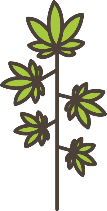 麻の木イラスト