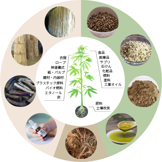 ヘンプ製品の円グラフ